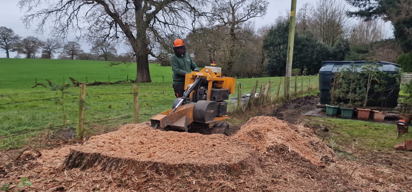 Tree stump removal service in Hammersmith with stump grinder